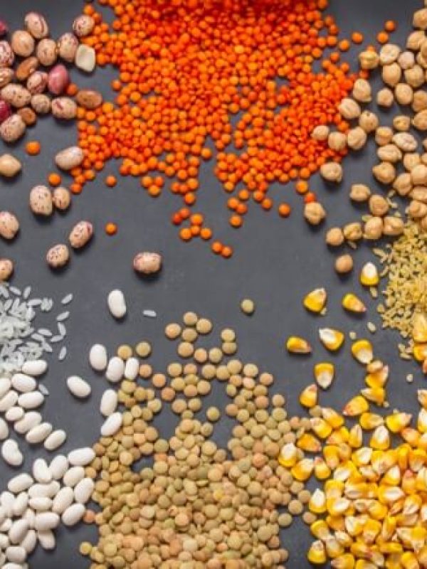 WhatsApp Image 2025-11-20 at 1.25.10 PM